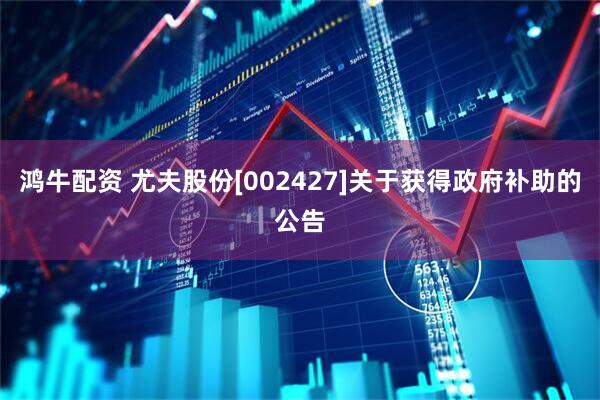 鸿牛配资 尤夫股份[002427]关于获得政府补助的公告