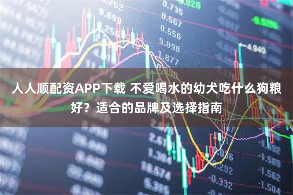 人人顺配资APP下载 不爱喝水的幼犬吃什么狗粮好？适合的品牌及选择指南