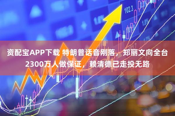 资配宝APP下载 特朗普话音刚落，郑丽文向全台2300万人做保证，赖清德已走投无路